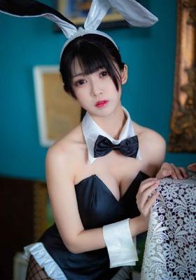 警花与警犬第二季免费观看最新版
